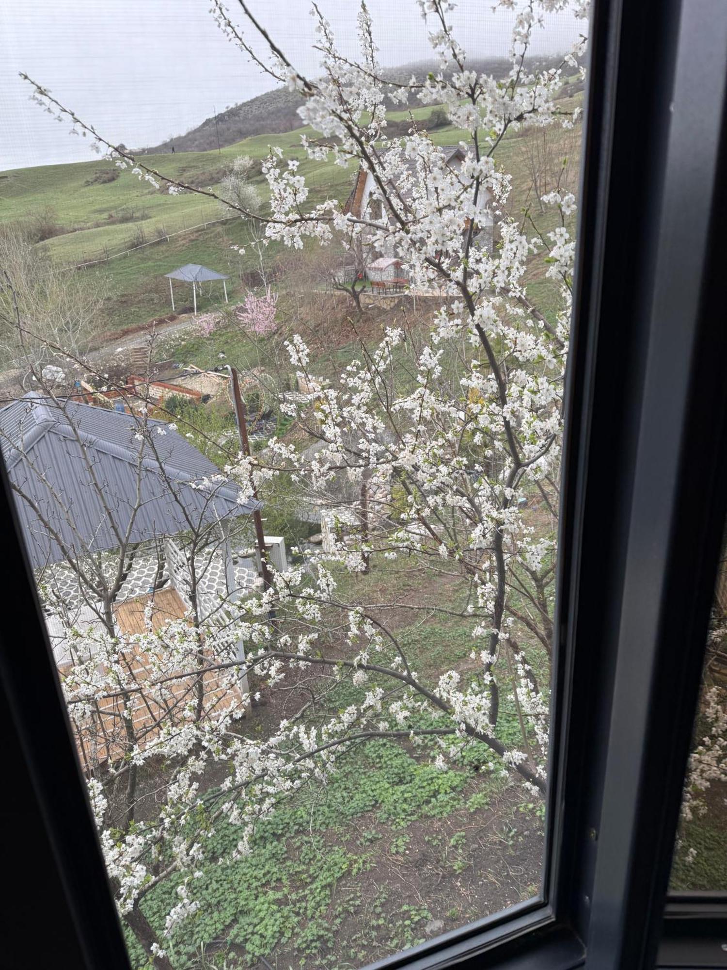 Qizil Farel Villa Ismayilli Cameră foto